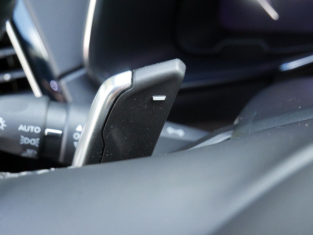 DS Automobiles DS7 (Crossback) 2024