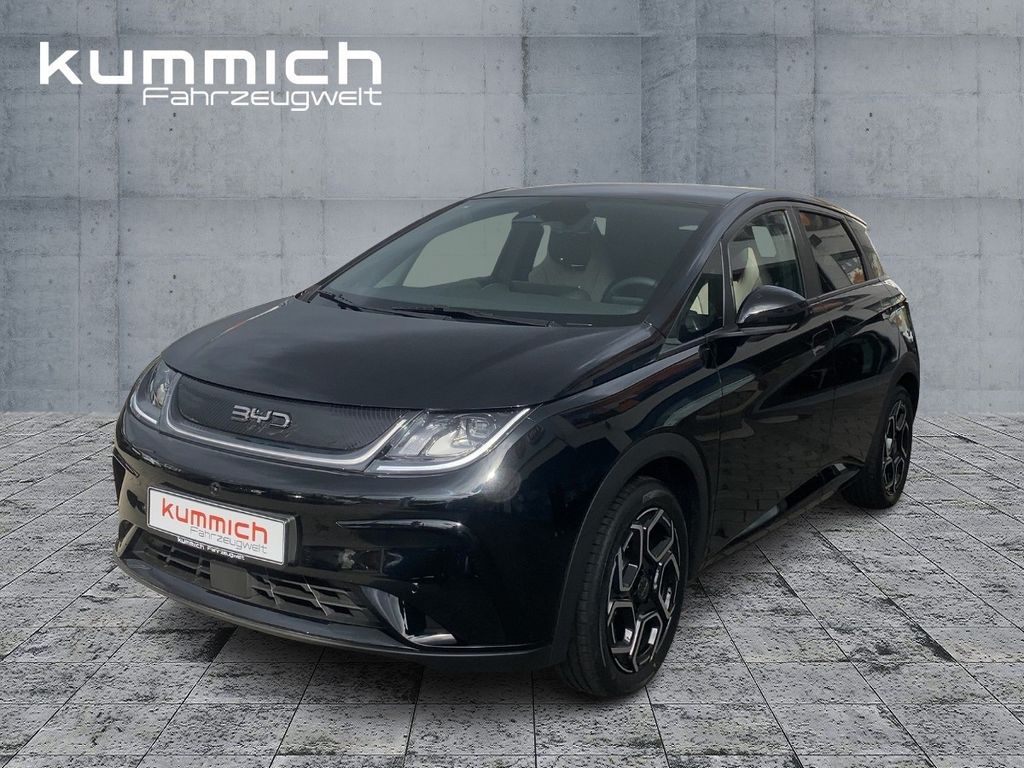 BYD DOLPHIN 2025