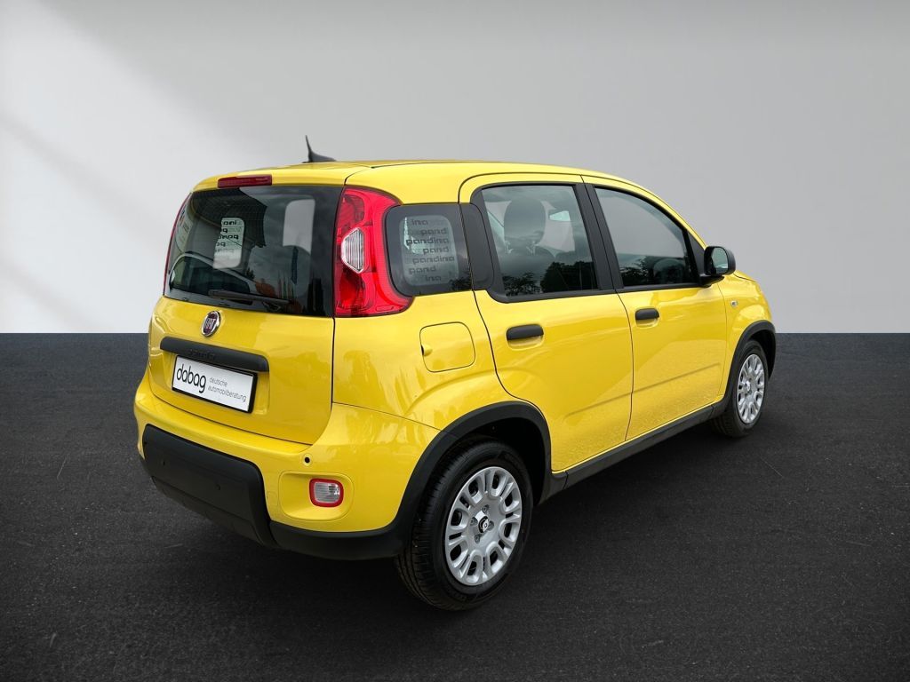 Fiat Panda 2024