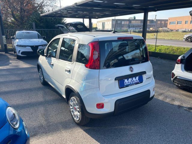 Fiat Panda 2022