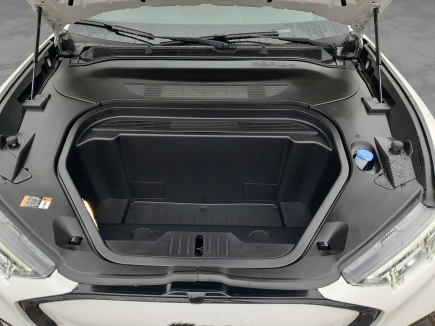 Ford Mustang Mach-E 2022