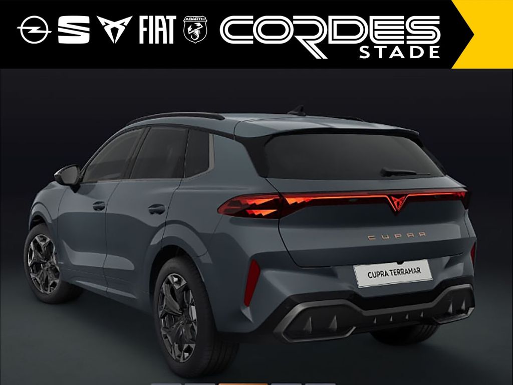 Cupra Terramar