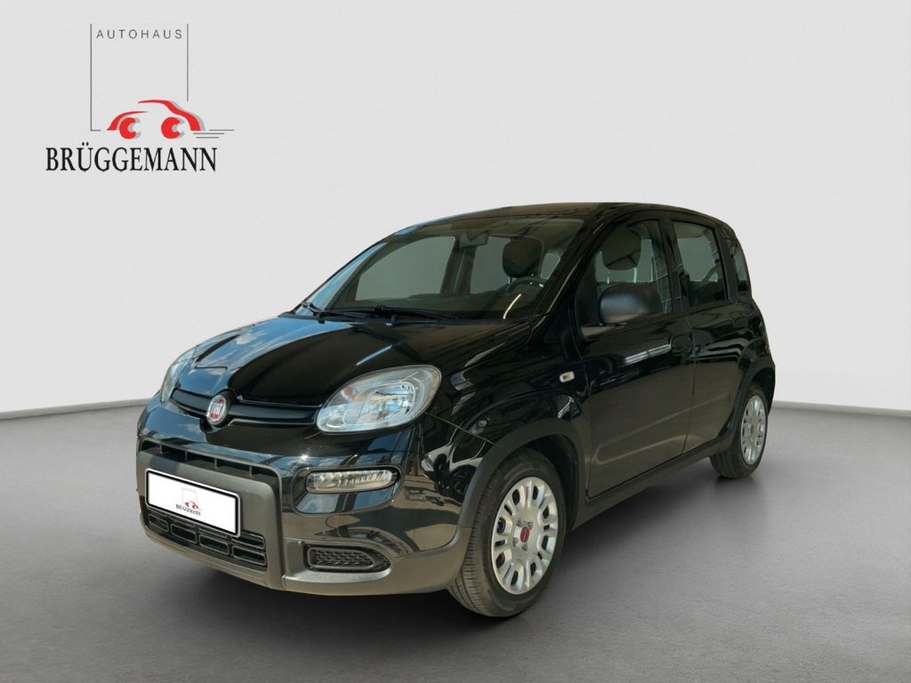 Fiat Panda 2023
