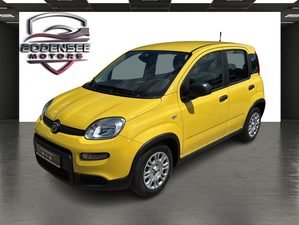 Fiat Panda 2024