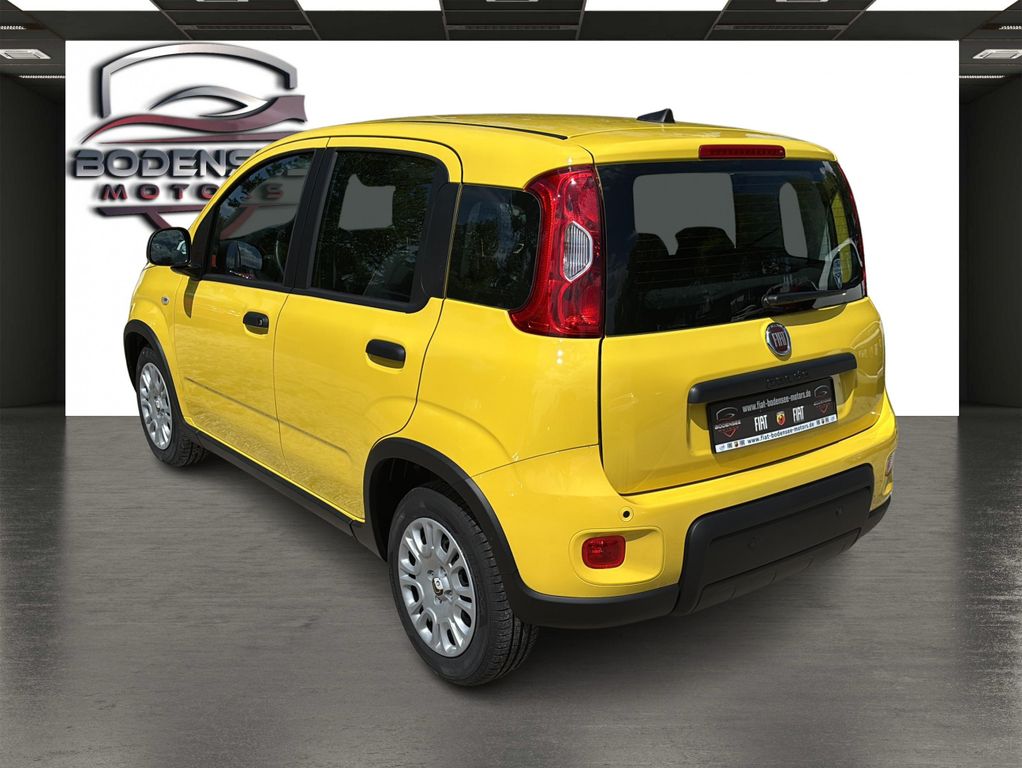 Fiat Panda 2024