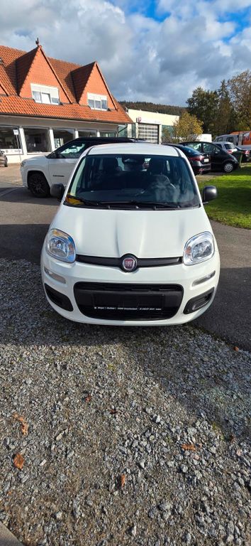 Fiat Panda 2025
