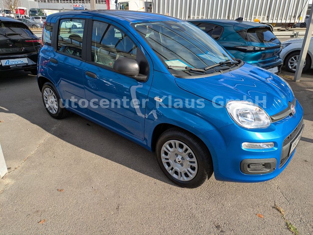 Fiat Panda 2025