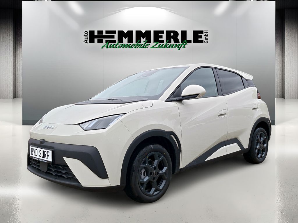 BYD DOLPHIN 2025