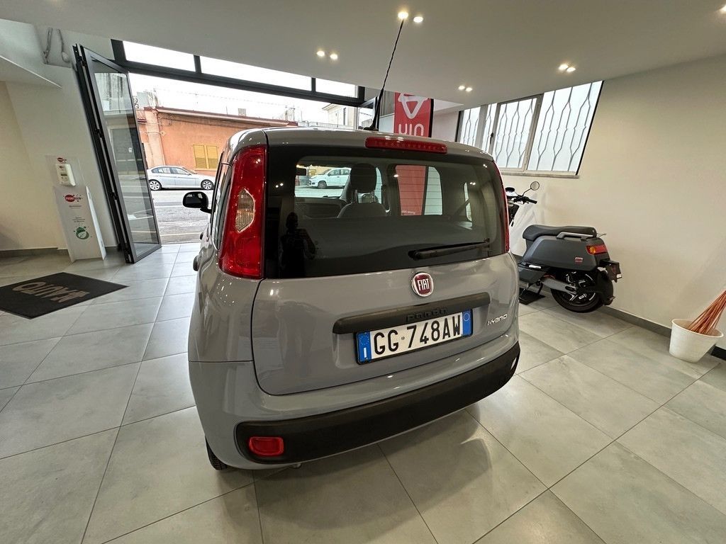 Fiat Panda 2021