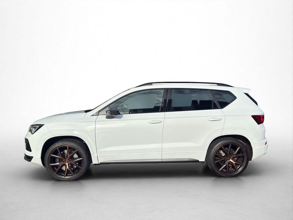 Cupra Other 2023