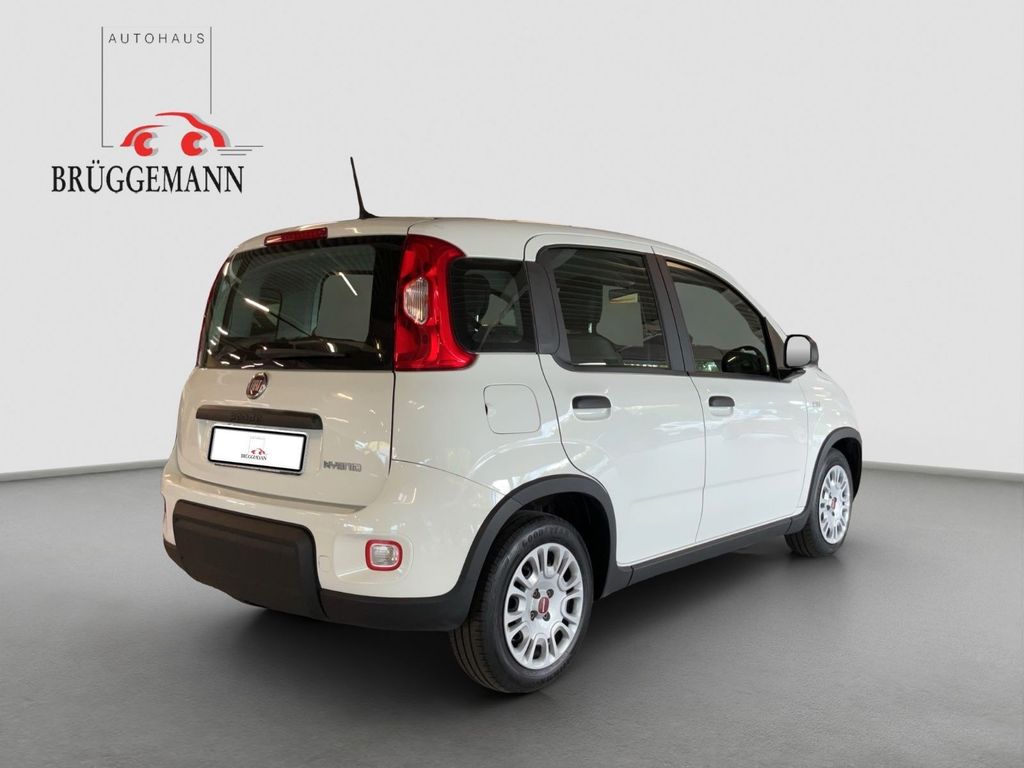 Fiat Panda 2023