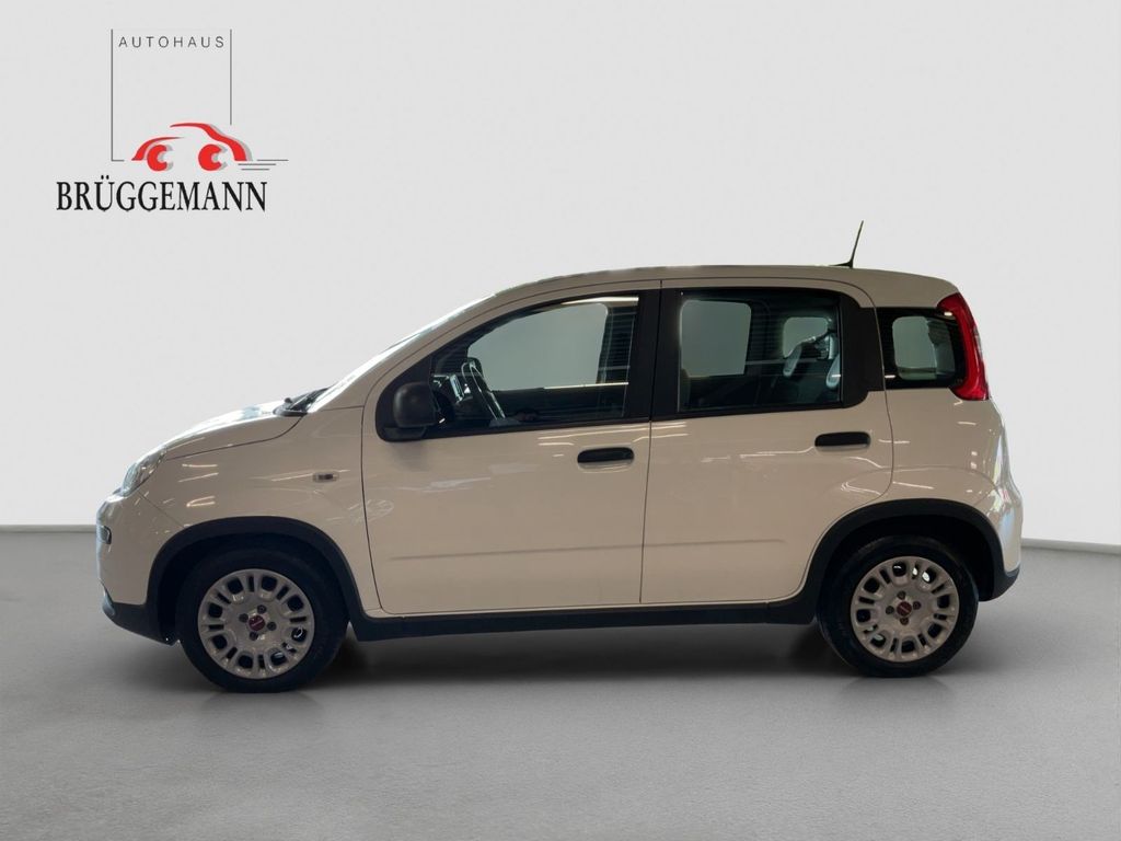 Fiat Panda 2023