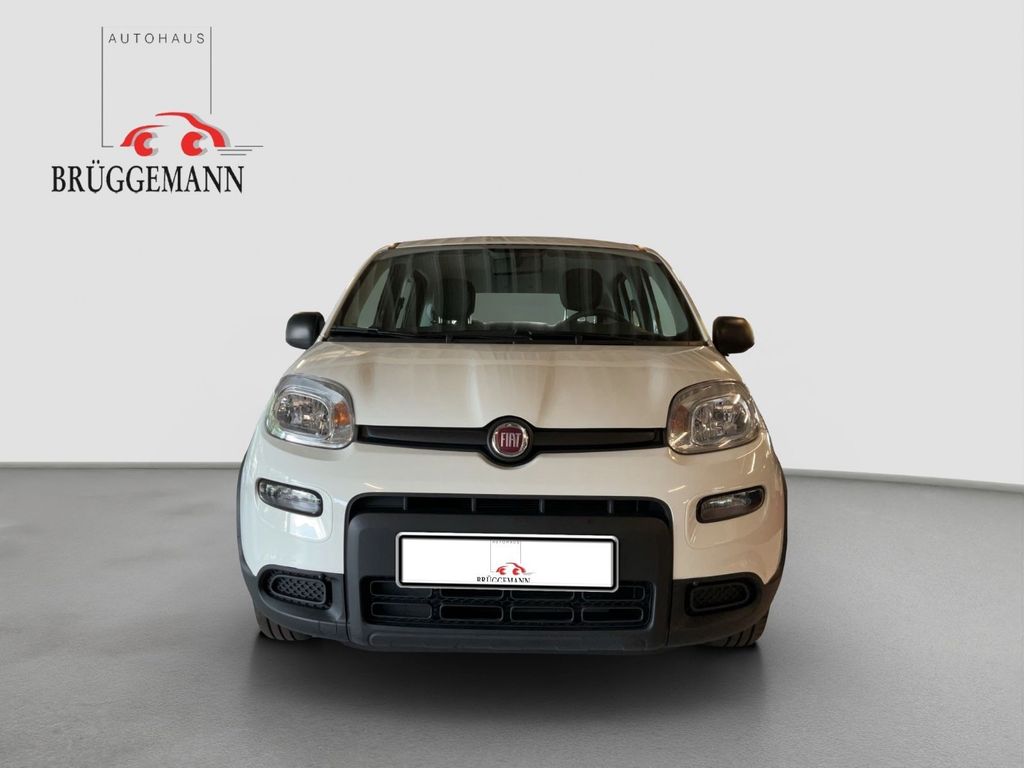 Fiat Panda 2023