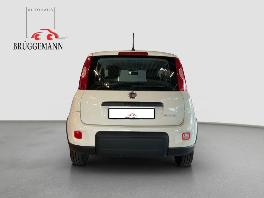Fiat Panda 2023