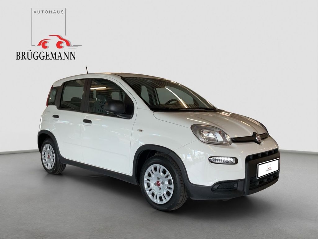 Fiat Panda 2023