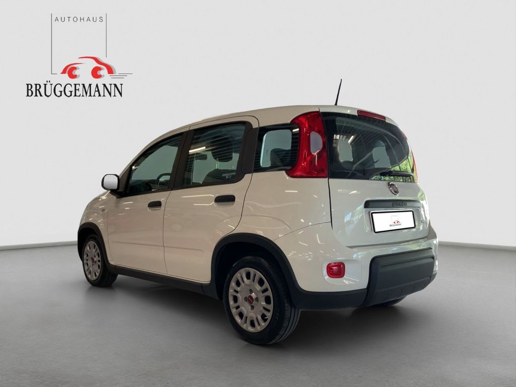 Fiat Panda 2023
