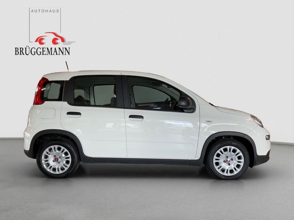 Fiat Panda 2023