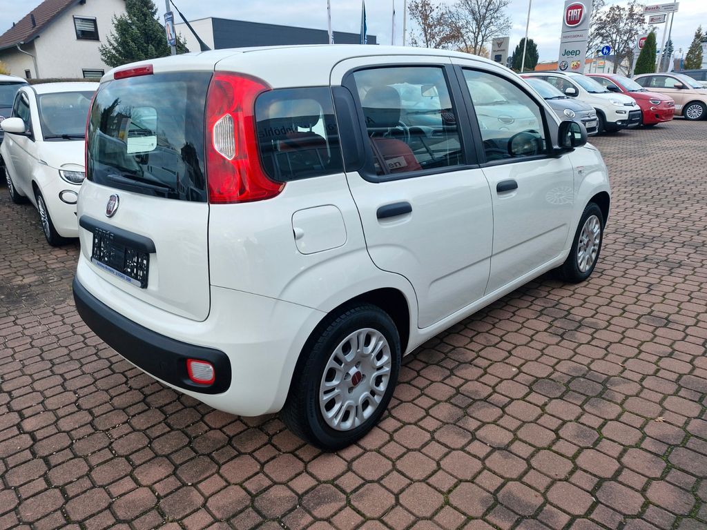 Fiat Panda 2019