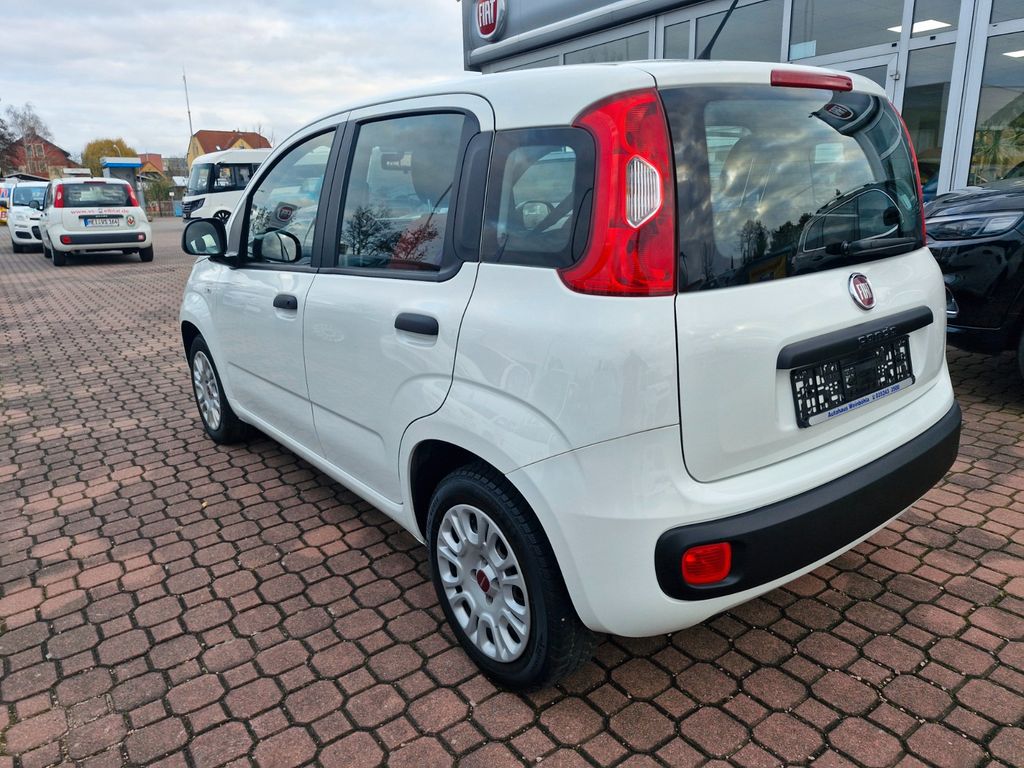 Fiat Panda 2019