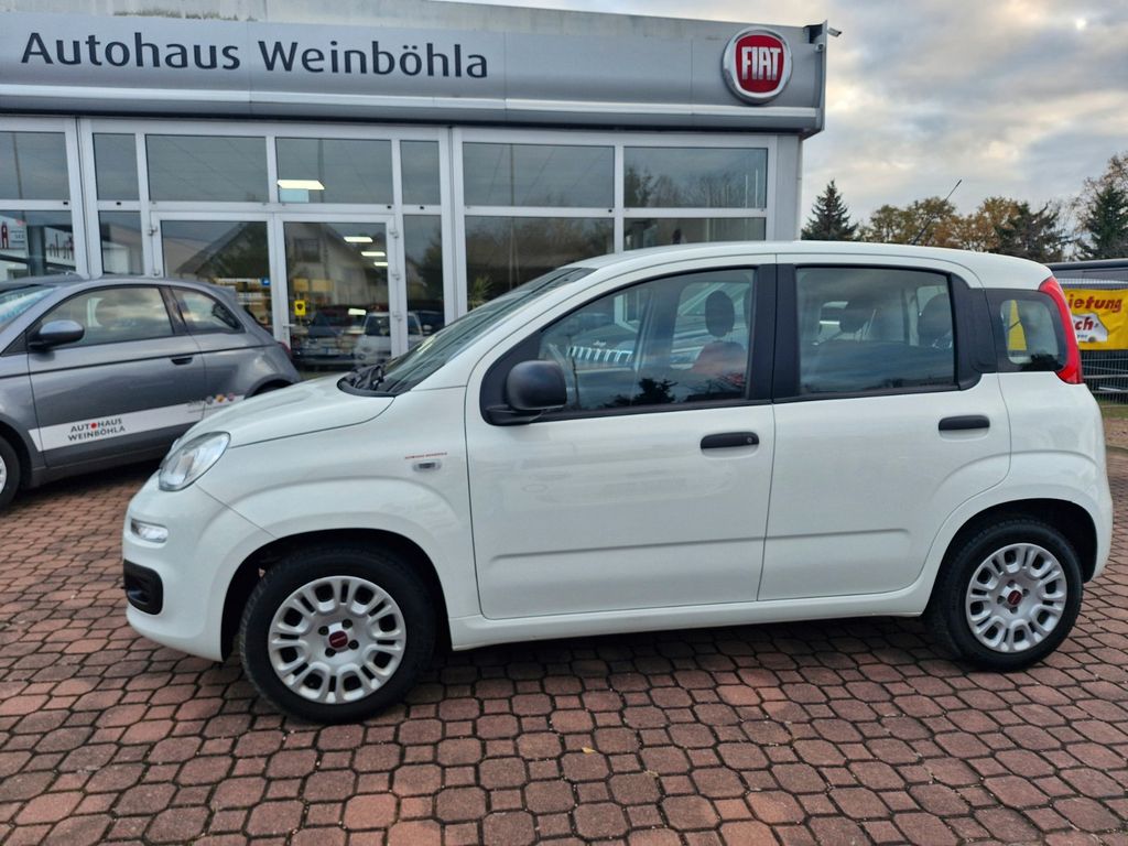 Fiat Panda 2019