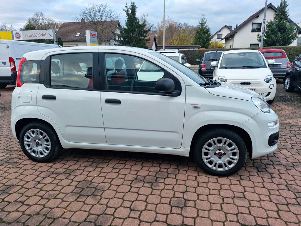 Fiat Panda 2019