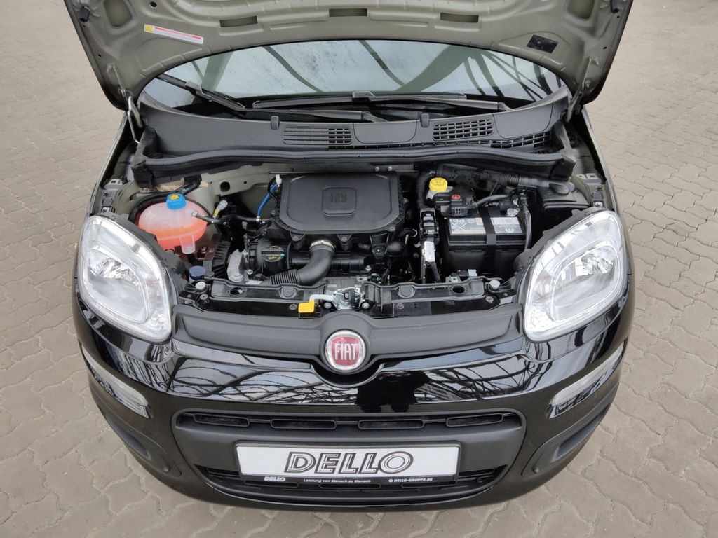 Fiat New Panda