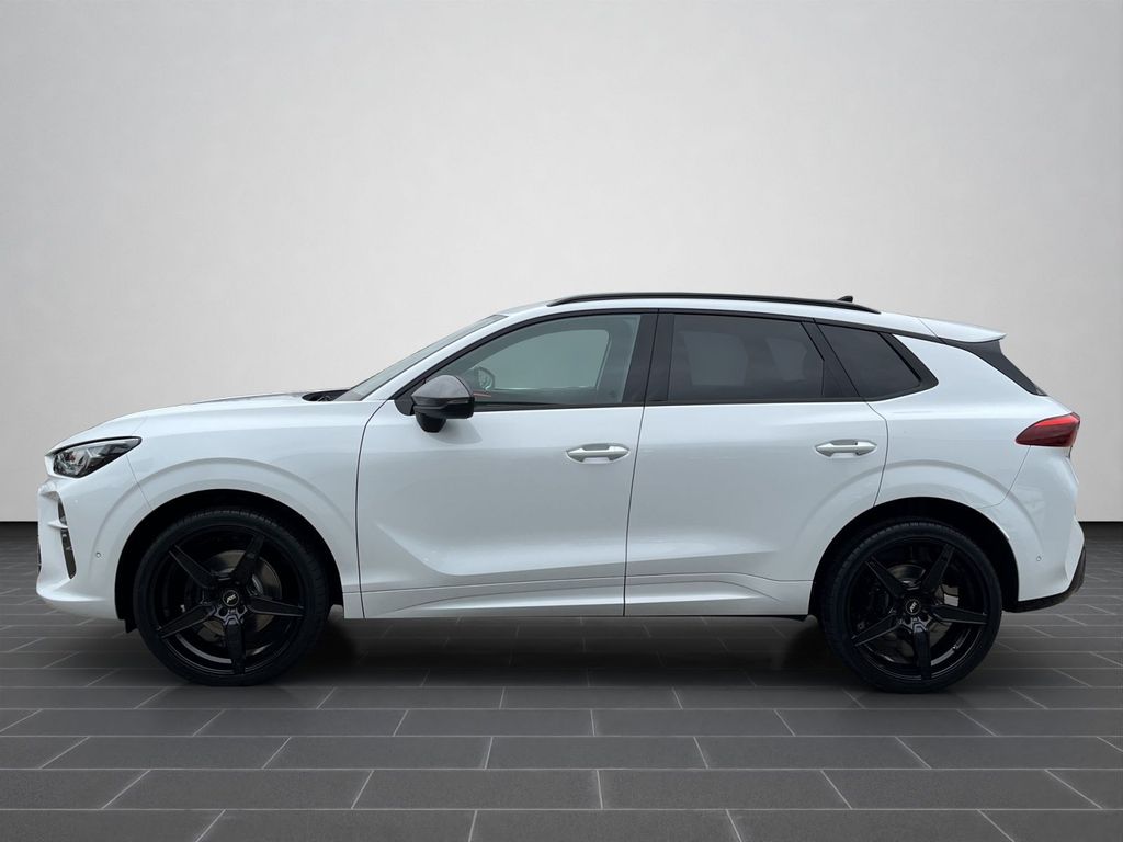 Cupra Terramar 2025