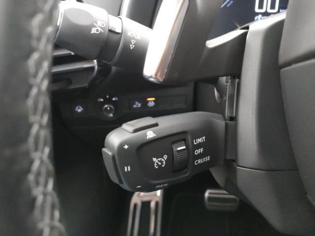 DS Automobiles DS7 (Crossback) 2022