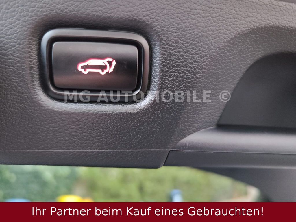 Kia pro cee'd / ProCeed 2021