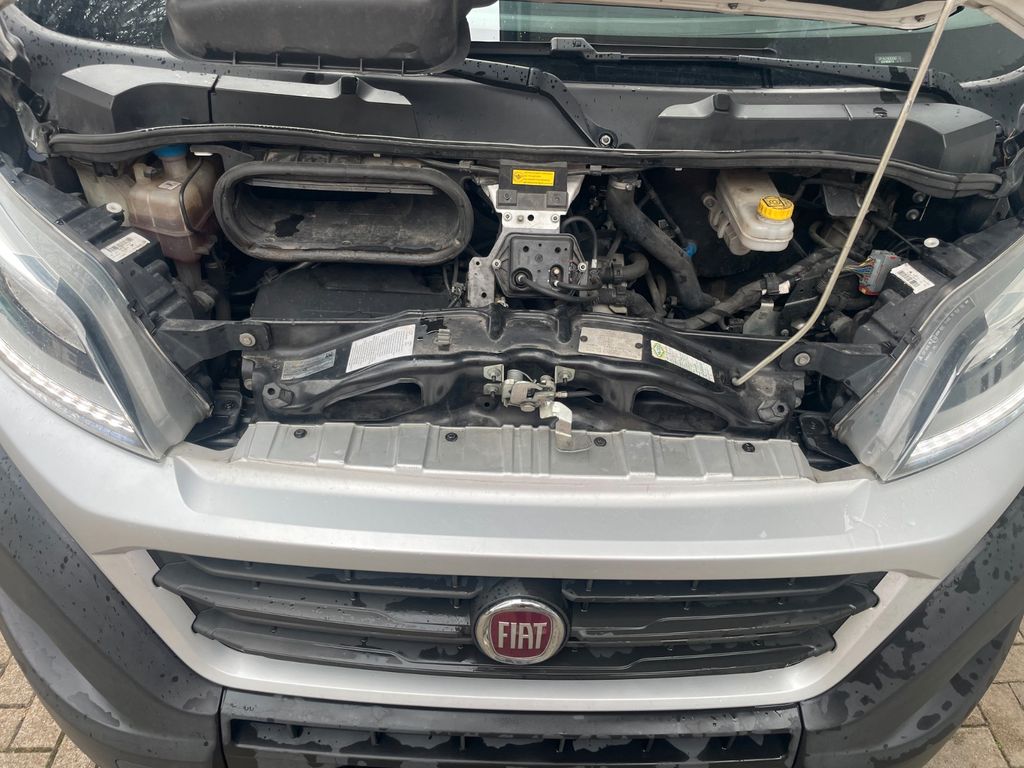 Fiat Ducato 2019