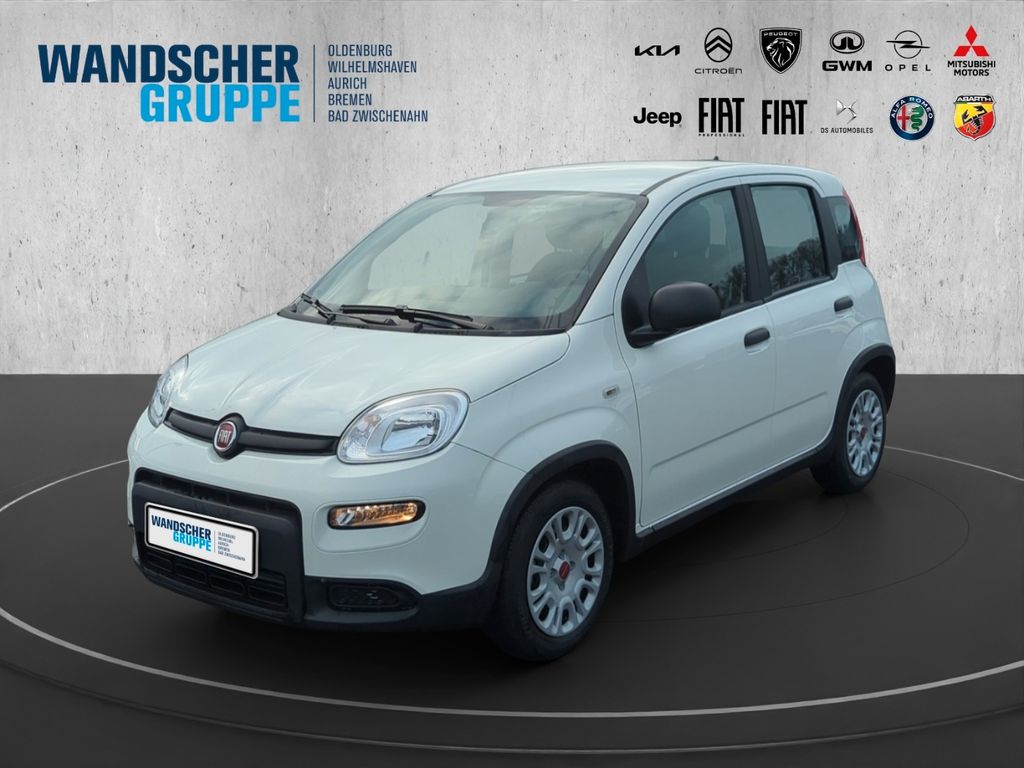 Fiat Panda 2024
