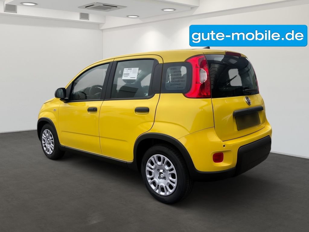 Fiat Panda 2024