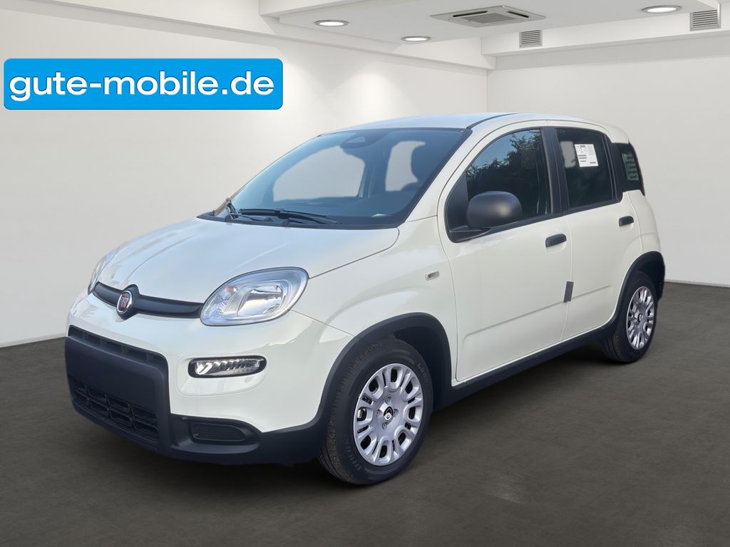 Fiat Panda 2024