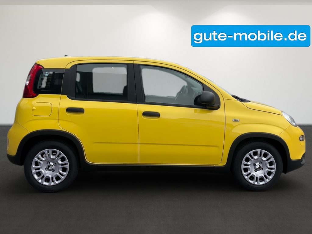 Fiat Panda 2024
