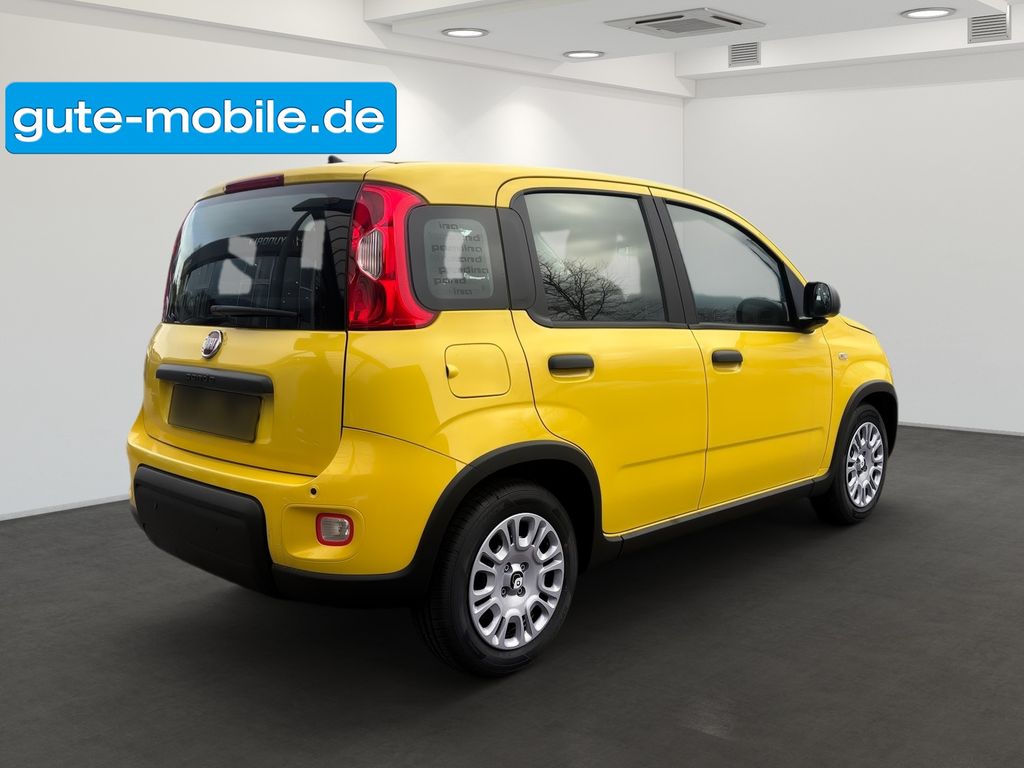 Fiat Panda 2024