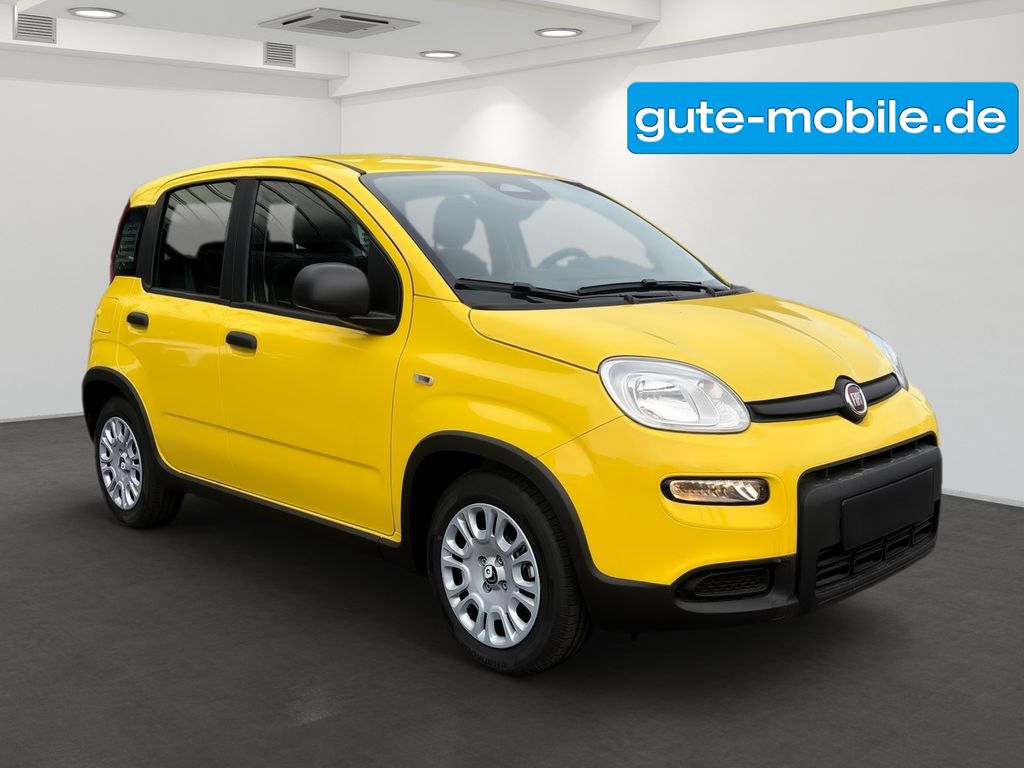 Fiat Panda 2024