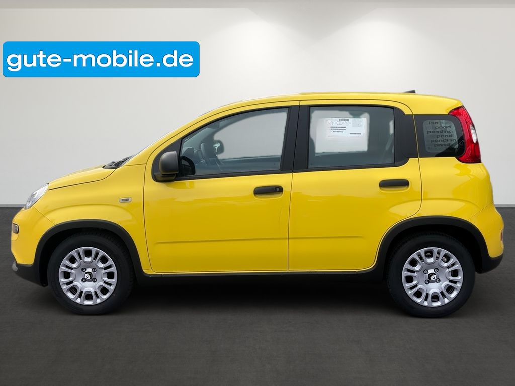 Fiat Panda 2024