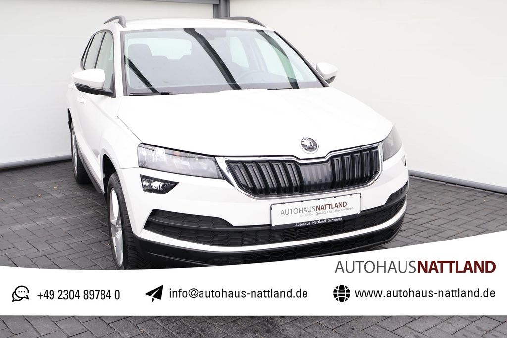 Skoda Karoq 2019