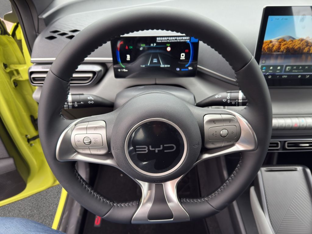 BYD DOLPHIN