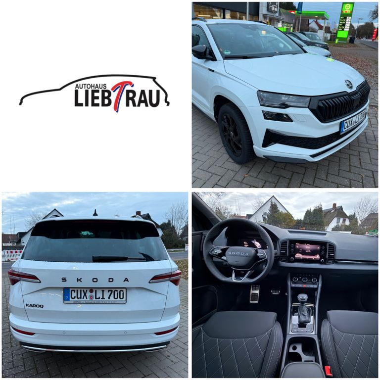 Skoda Karoq 2025