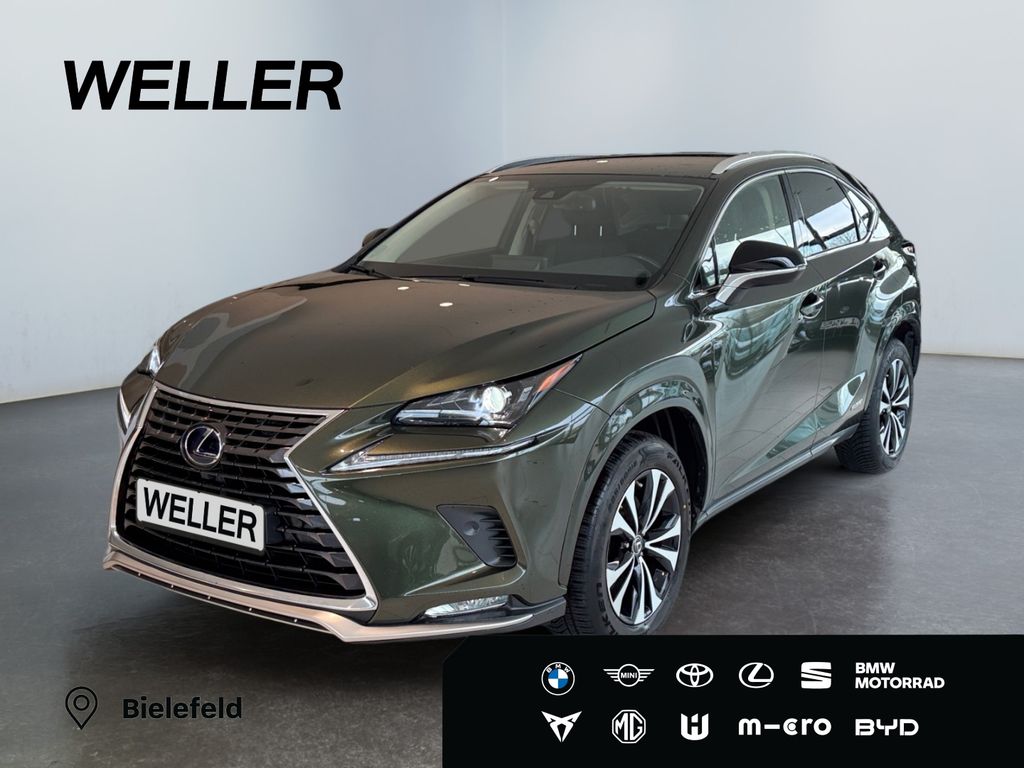Lexus NX 300 2021