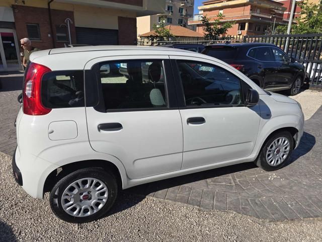 Fiat Panda 2021