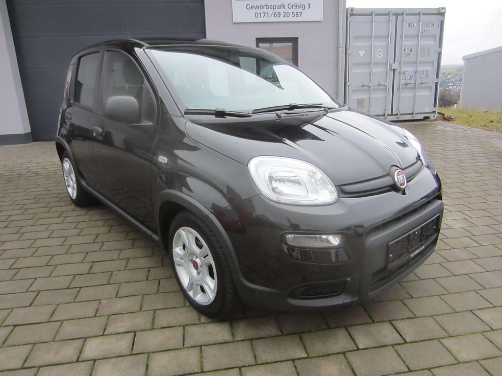 Fiat Panda 2024