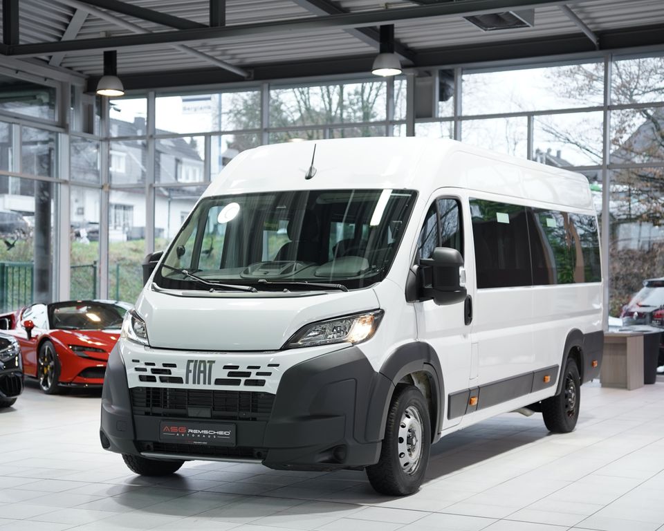 Fiat Ducato 2025