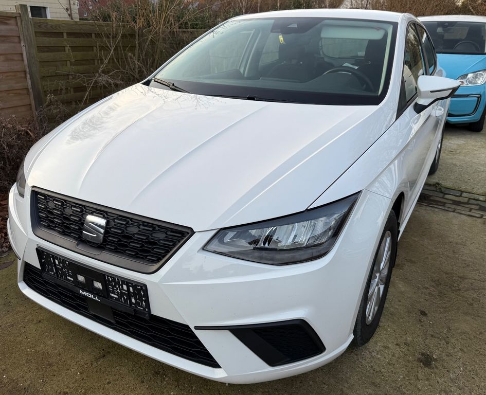 Seat Ibiza 2022