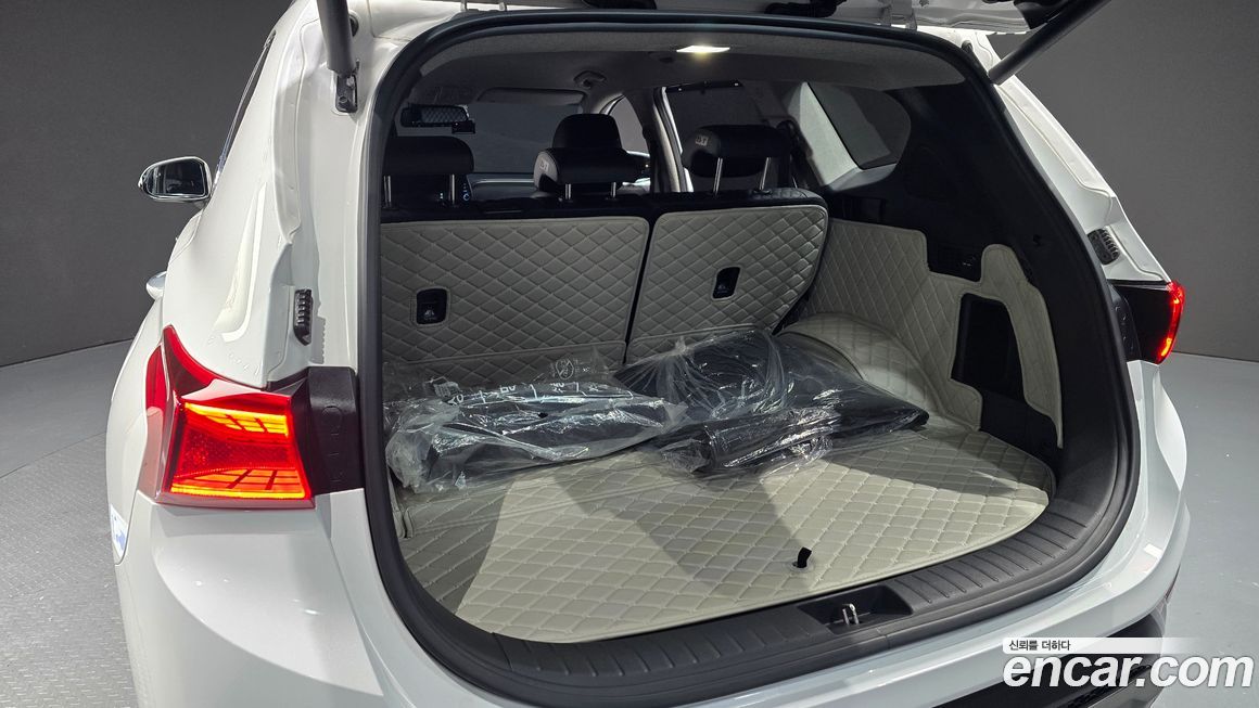 Hyundai Santafe 2020