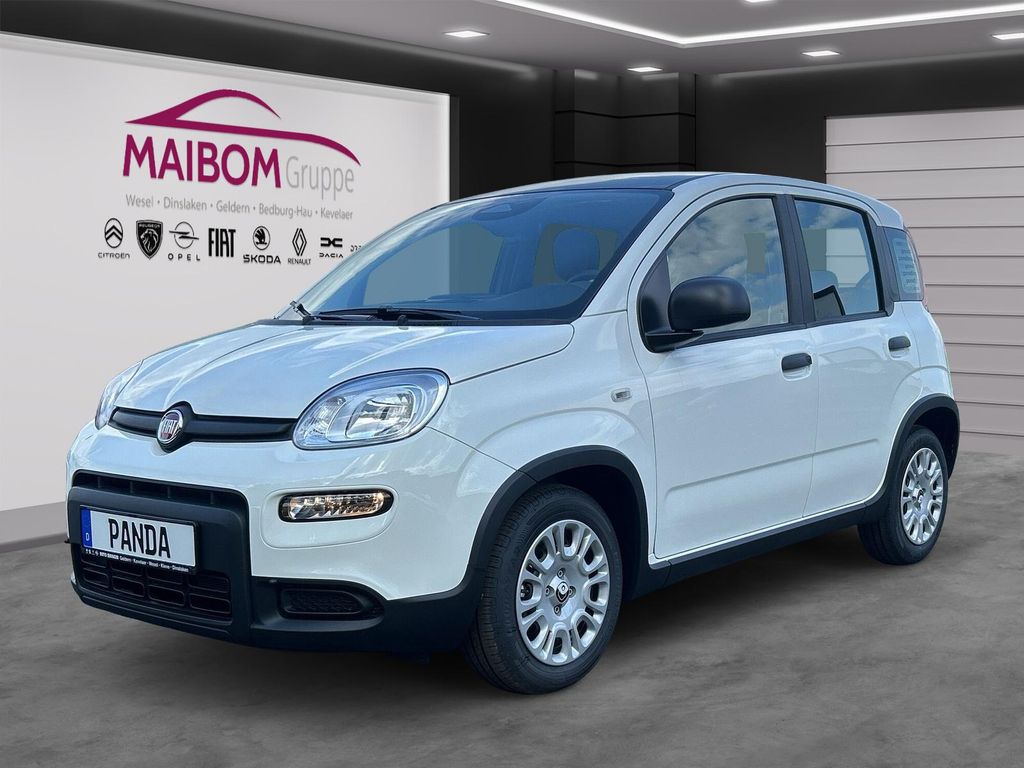 Fiat Panda 2024