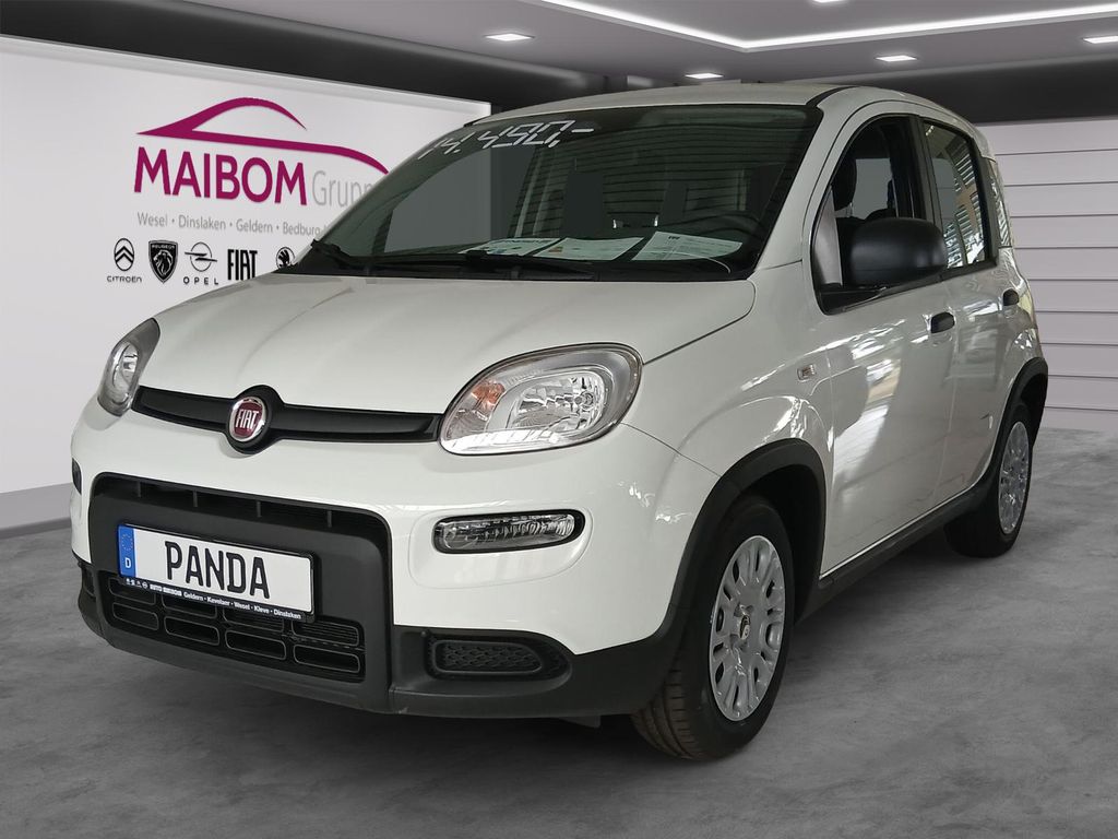 Fiat Panda 2024