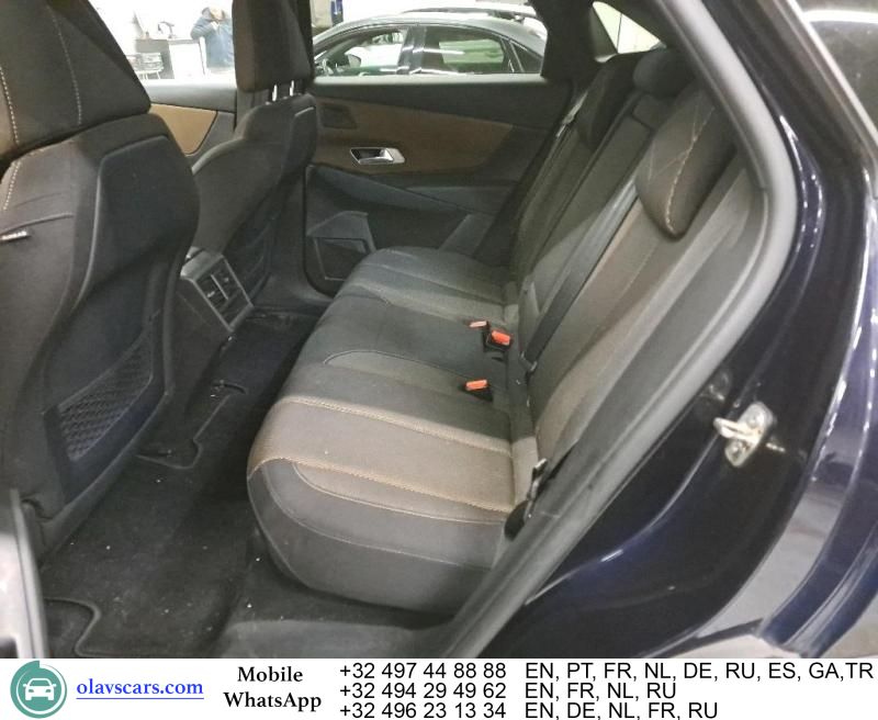 DS Automobiles DS7 (Crossback) 2020