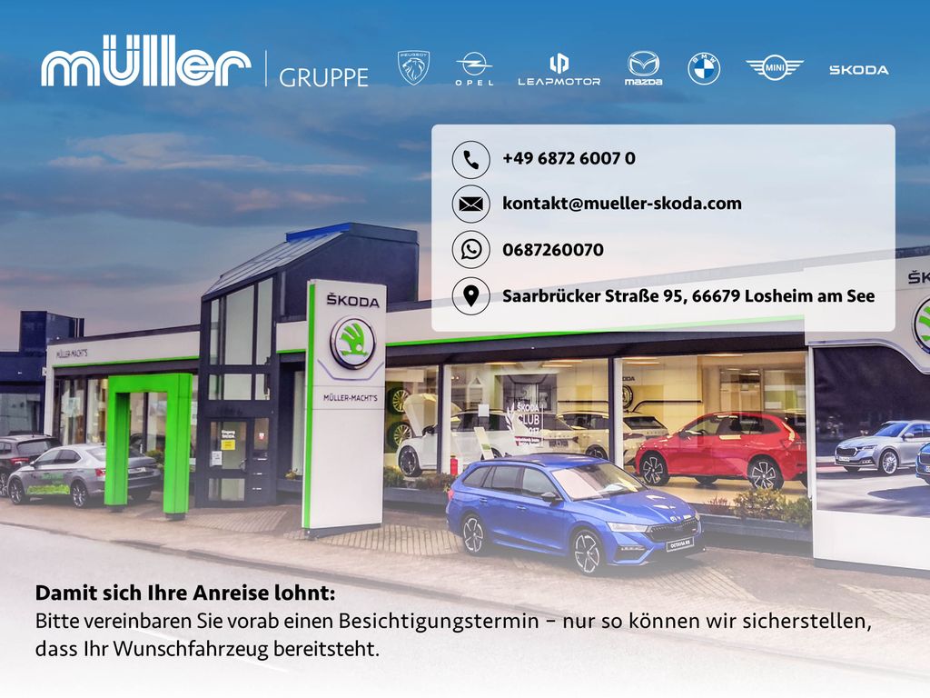 Skoda Other